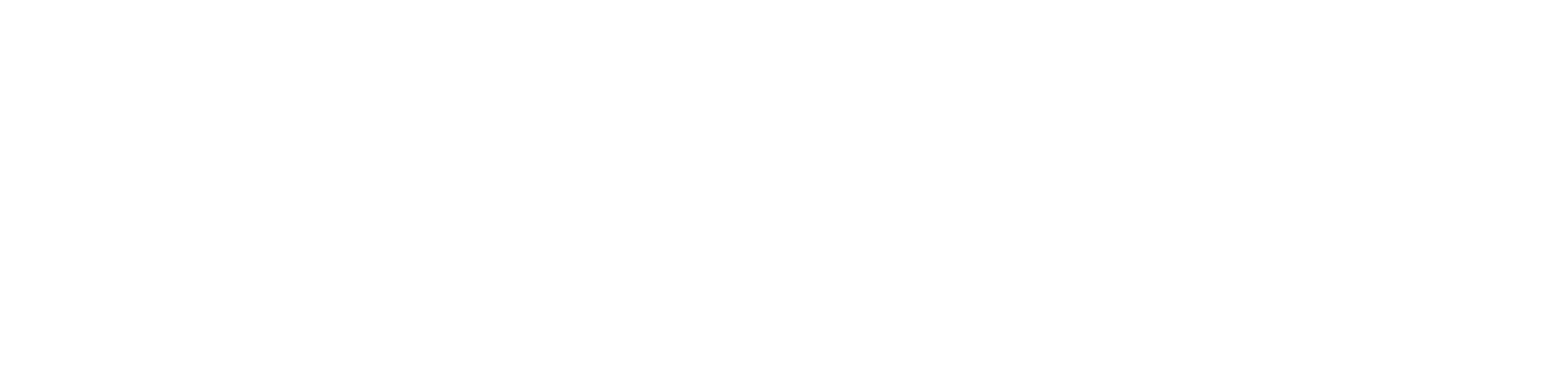 Octopus IT Solutions